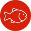 12 Aquariums