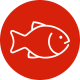 Aquariums